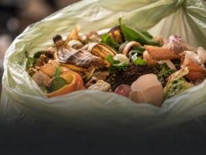 Déchets organiques